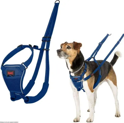 Obrázek produktu pro Postroj pro psy Company of Animals COBALT Blue 12