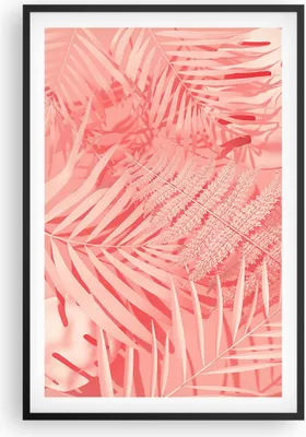 Produktbild von Gerahmtes Poster - Schwarzer Rahmen - Rosa Blätter Palmen - 61x91,5 cm - Wand Bild - Wanddeko - Wandbilder - Kunstposter - Wandposter - Bilderrahmen - Bilder - Kunstdruck - P2BPA61x91-4745
