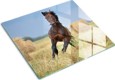 Imagen del producto de Cubierta para placa de cocina – Cubierta para placa de inducción – Placa de vidrio protectora – 60x52 cm – Placas de vidrio protectoras para cocina – Vidrio templado – Caballo galopando
