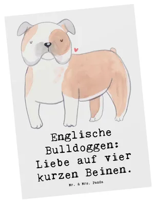Produktbild von Mr. & Mrs. Panda Postkarte Englische Bulldogge Liebe - Weiß - Geschenk, Hunderassen, Hundeliebhaber, bildkarte, Hunderasse, sanfter Charakter, Grußkarte, liebevolle Hund