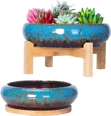 Image de Pots en céramique colorés pour cactus, lot de 2, 18,5 cm, décoration de jardin