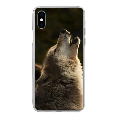 Produktbild von MuchoWow® Handyhülle Schutzhülle Hülle für iPhone Xs Wolf - Grau - Tiere Silikon Softcase Handy Hülle - Handytasche