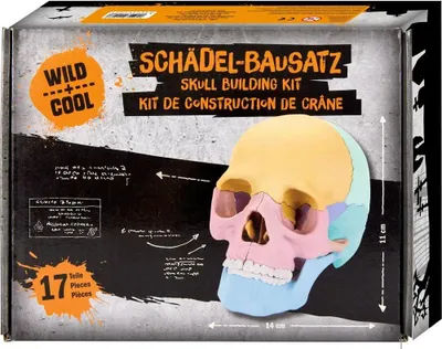 Produktbild von Schädel-Bausatz - Wild+Cool