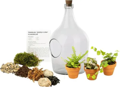 Obrázek produktu pro Gardners Skleněné terárium demižon OSÁZEJ SI SÁM, 5l