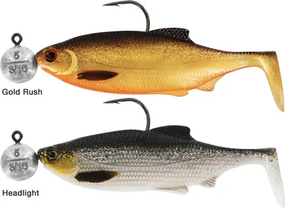 Produktbild von Westin Ricky the Roach R'NR 10cm 10g Gr. 6/0 - 2 Gummishads, Farbe:Dark Water Mix 4
