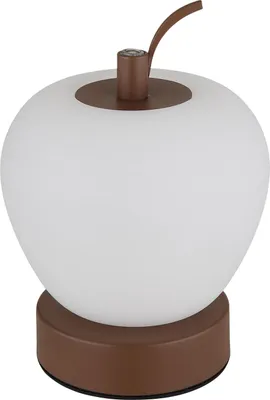 Productafbeelding van Draadloze bureaulamp met batterij, touchdimmer, kleurveranderend, bruin, model 21011
