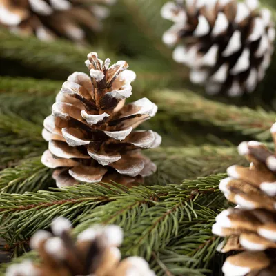 Image de Décorations de Noël - Cônes de pin - 5 x 4,5 cm - 10 pièces par paquet
