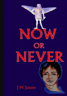 Produktbild von Now or Never