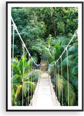 Produktbild von Gerahmtes Poster - Schwarzer Rahmen - Tropen Dschungel Brücke - 70x100 cm - Wand Bild - Wanddeko - Wandbilder - Kunstposter - Wandposter - Bilderrahmen - Bilder - Kunstdruck - P2BPA70x100-4963