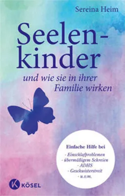 Produktbild von Seelenkinder und wie sie in ihrer Familie wirken