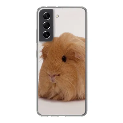 Produktbild von MuchoWow® Handyhülle Schutzhülle Hülle für Samsung Galaxy S21 FE Sheltie-Meerschweinchen Silikon Softcase Handy Hülle - Mobiltelefonhülle