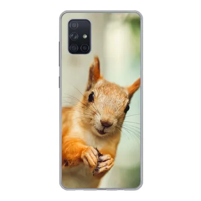 Produktbild von MuchoWow® Handyhülle Schutzhülle Hülle für Samsung Galaxy A71 Eichhörnchen - Lustig - Nuss - Kinder - Jungen - Mädchen - Kind Silikon Softcase Handy Hülle - Kartenbesitzer
