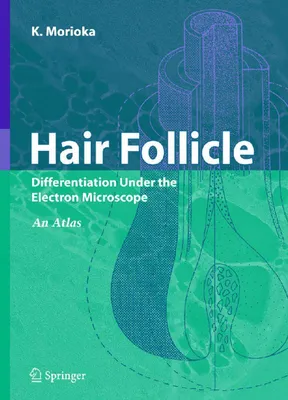 Produktbild von Hair Follicle