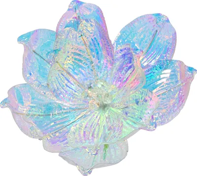 Immagine prodotto di Fiore su clip FIORI