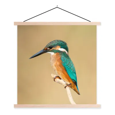 Produktbild von MuchoWow® Textilposter Eisvogel - Tiere - Vogel 120x120 cm mit holzfarbenen Rahmen - Textil-Poster