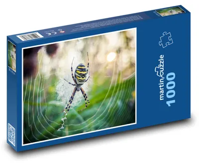 Zdjęcie produktu dla martinpuzzle - Puzzle 1000 elementów - Pavouk