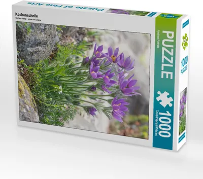 Produktbild von CALVENDO Puzzle Küchenschelle | 1000 Teile Lege-Größe 64x48cm Foto-Puzzle für glückliche Stunden