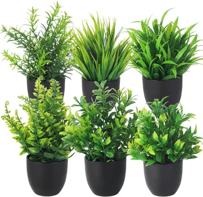 Imagen del producto de Juego de plantas artificiales, 6 pequeñas plantas en macetas negras, de plástico, para baño y salón