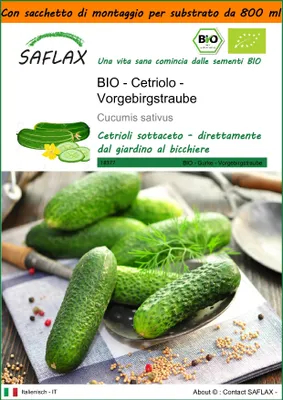 Immagine prodotto di SAFLAX Garden in the bag -- Cetriolo - Vorgebirgstraube - 15 semi - Cucumis