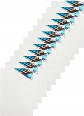 Produktbild von PE Malerei Leinwand 12er Set 18x24 cm Grundiert