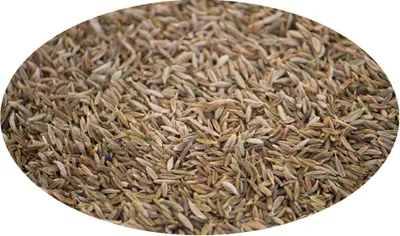 Produktbild von Eder Gewürze - Kreuzkümmel / Mutterkümmel / Cumin ganz - 1kg