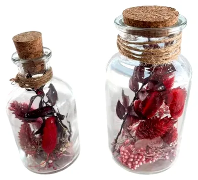 Produktbild von Trockenblumen im 2er-Set in Glas, Rote Farbtöne