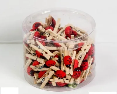 Zdjęcie produktu dla Drewniane klamerki naturalne 2,5cm  z biedroneczką 100szt   4452