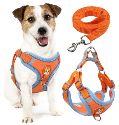 Immagine prodotto di Imbracatura per cani, antistrappo, regolabile, riflettente, arancione, taglia L