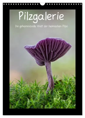 Produktbild von Pilzgalerie - Die geheimnisvolle Welt der heimischen Pilze (Wandkalender 2027 DIN A3 hoch), CALVENDO Monatskalender