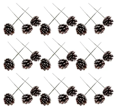 Produktbild von 30 Stück Tannenzapfen Dekoration für Partys und Winterdekor Bastelornamente für Girlanden, Kranzstecker und Weihnachtsschmuck
