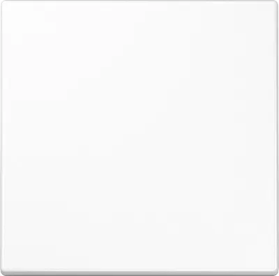 Produktbild von Jung Wippe 1-fach, Duroplast, Serie LS, alpinweiß, 1 Stk.