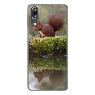 Produktbild von MuchoWow® Handyhülle Schutzhülle Hülle für Huawei P20 Waldtiere - Wasser - Moos Silikon Softcase Handy Hülle - Hardcover