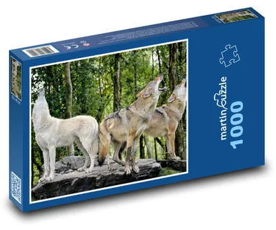 Produktbild von Puzzle 1000 Wölfe in der Waldwildnis - martinpuzzle