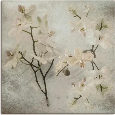 Produktbild von ARTland Leinwandbild Orchideen Größe: 40x40 cm