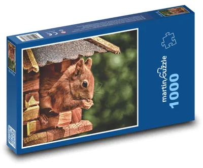 Zdjęcie produktu dla Puzzle 1000 Wiewiórka w domku - martinpuzzle