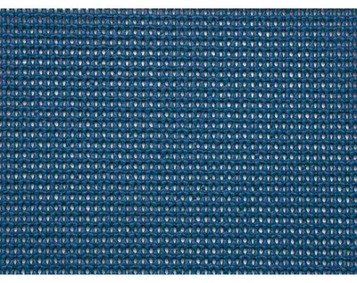 Produktbild von BRUNNER Vorzeltteppich Yurop 450 PVC 400 x 250 cm grün strapazierfähig