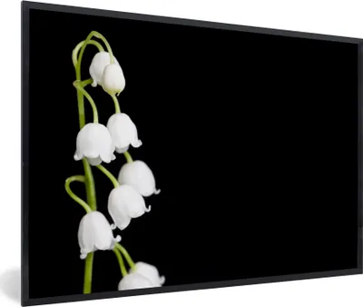 Produktbild von MuchoWow® Gerahmtes Poster Maiglöckchen - Blumen - Schwarz - Flora 90x60 cm - Poster mit Schwarzem Bilderrahmen Wandposter Rahmen Foto Bilder - Fotorahmen - Foto-Plakat