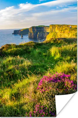 Produktbild von MuchoWow® Poster Irische Blumen an den Cliffs of Moher 20x30 cm - Papierdruck