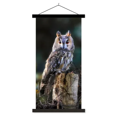Produktbild von MuchoWow® Textilposter Eule - Herbst - Vogel - Äste 40x80 cm mit schwarzem Rahmen - Wandemalerei