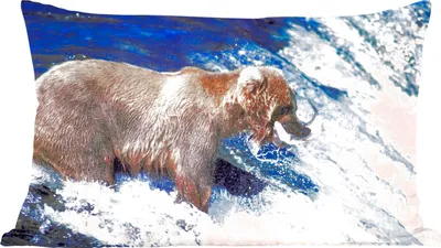 Produktbild von MuchoWow® Zierkissen Sofakissen Wohnzimmer Dekokissen 50x30 cm Bär - Fisch - Wasserfall - Wohnzimmerdekoration - Polster mit Photo