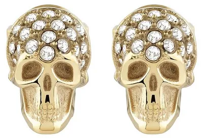 Produktbild von Philipp Plein Uni Ohrringe Ohrstecker ENIGMA Edelstahl Gold PJOEA17EU