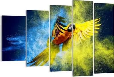 Produktbild von Bild auf Leinwand - Leinwandbild - Papagei Vogel Feder - 150x100cm - Wand Bild - Wanddeko - Leinwanddruck - Bilder - Kunstdruck - Wanddekoration - Leinwand bilder - Wandkunst - EG150x100-3666