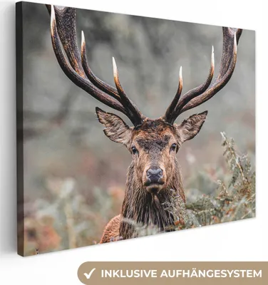 Produktbild von MuchoWow® - Leinwandbilder - Hirsche - Natur - Herbst - Waldtiere, Wandbild, Wanddeko Bilder Wohnzimmer, 120x90 cm