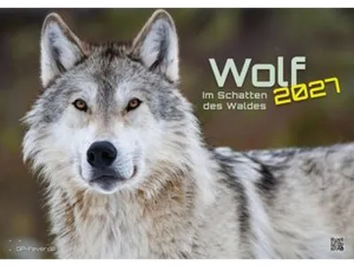 Image de Loup - À l'ombre de la forêt - 2027 - Calendrier format DIN A3