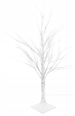 Image de Iso