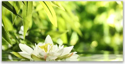 Produktbild von Tulup Leinwand-Bilder 140x70 Wandbild Canvas Kunstdruck Blume Blätter Pflanzen