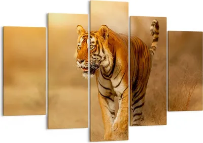 Produktbild von Bild auf Leinwand - Leinwandbild - tiger tier - 150x100cm - Wand Bild - Wanddeko - Wandbilder - Leinwanddruck - Bilder - Kunstdruck - Wanddekoration - Leinwand bilder - Wandkunst - EA150x100-3946