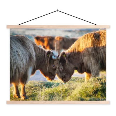 Produktbild von MuchoWow® Textilposter Schottische Highlander - Tiere - Sonne 40x30 cm mit holzfarbenen Rahmen - Bilder