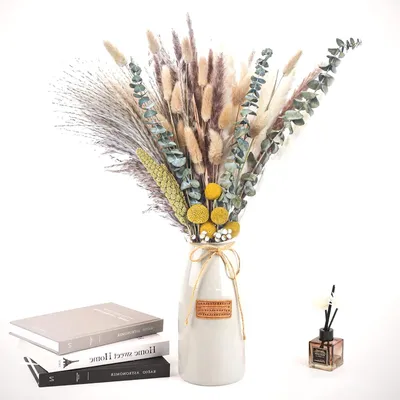 Produktbild von 80 Stück Pampasgras Getrocknet - Boho Wohnzimmer Dekoration