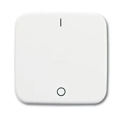 Immagine prodotto di Busch-Jaeger Bilanciere aws 2502-214 2CKA001731A0884